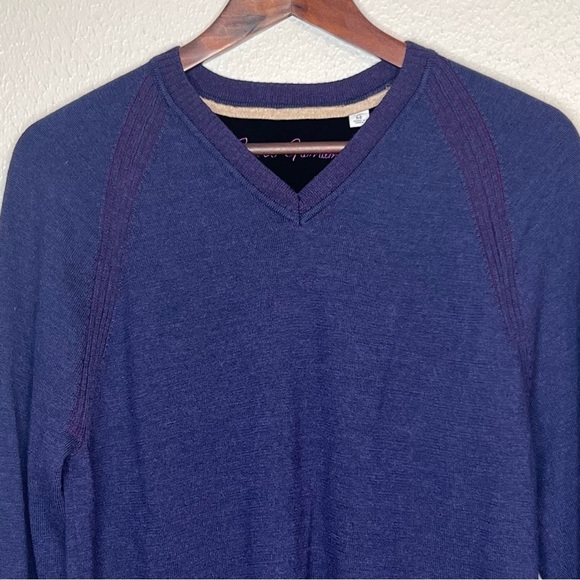 Robert Graham 100% Wool Sweater Purple Pullover V Neck Long Sleeve Mens Medium - Picture 2 of 13